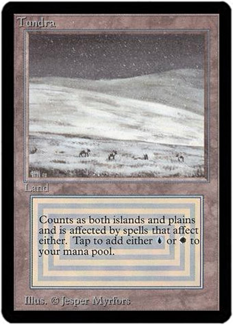 Undiscovered Paradise Visions NM Land Rare MAGIC THE GATHERING CARD ABUGames 